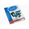 BANTEX 2112 08 4R 文件保護套 (10 個裝)